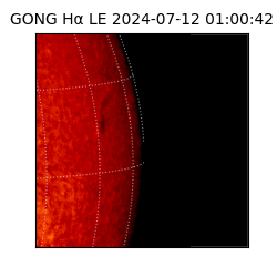 gong - 2024-07-12T01:00:42