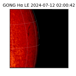 gong - 2024-07-12T02:00:42