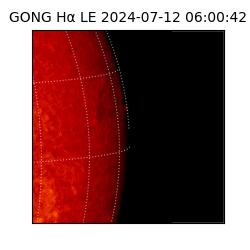 gong - 2024-07-12T06:00:42