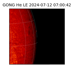 gong - 2024-07-12T07:00:42