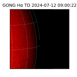 gong - 2024-07-12T09:00:22