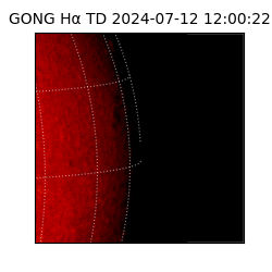 gong - 2024-07-12T12:00:22