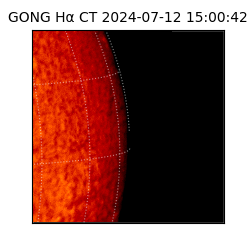 gong - 2024-07-12T15:00:42