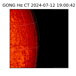 gong - 2024-07-12T19:00:42