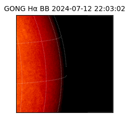 gong - 2024-07-12T22:03:02