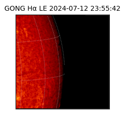 gong - 2024-07-12T23:55:42