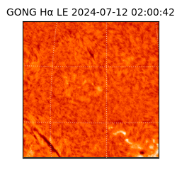 gong - 2024-07-12T02:00:42
