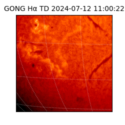 gong - 2024-07-12T11:00:22