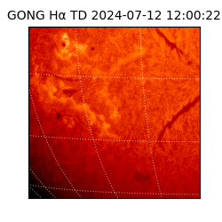 gong - 2024-07-12T12:00:22