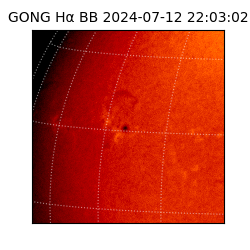 gong - 2024-07-12T22:03:02