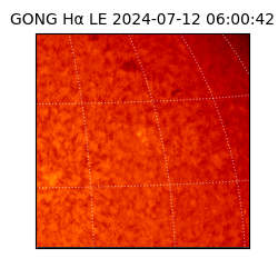 gong - 2024-07-12T06:00:42