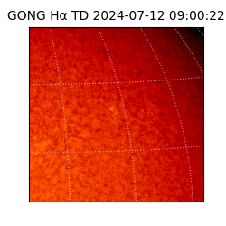 gong - 2024-07-12T09:00:22