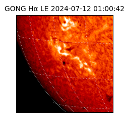 gong - 2024-07-12T01:00:42