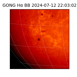 gong - 2024-07-12T22:03:02