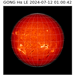 gong - 2024-07-12T01:00:42