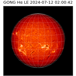 gong - 2024-07-12T02:00:42