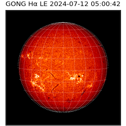gong - 2024-07-12T05:00:42