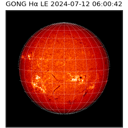 gong - 2024-07-12T06:00:42