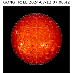 gong - 2024-07-12T07:00:42