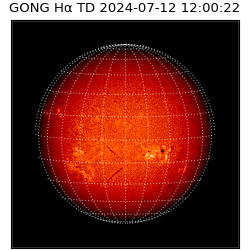 gong - 2024-07-12T12:00:22