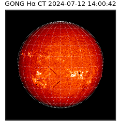gong - 2024-07-12T14:00:42