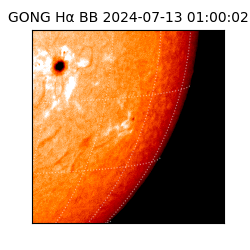 gong - 2024-07-13T01:00:02