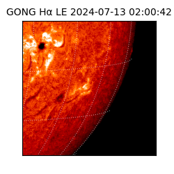 gong - 2024-07-13T02:00:42