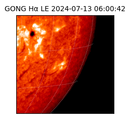 gong - 2024-07-13T06:00:42