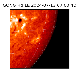 gong - 2024-07-13T07:00:42