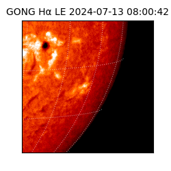 gong - 2024-07-13T08:00:42