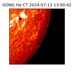 gong - 2024-07-13T13:00:42
