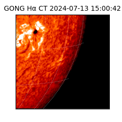 gong - 2024-07-13T15:00:42