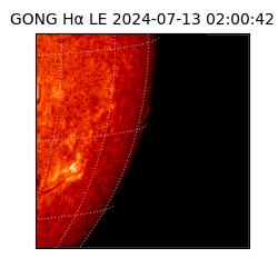 gong - 2024-07-13T02:00:42