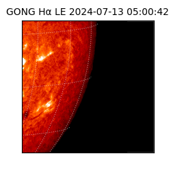 gong - 2024-07-13T05:00:42