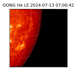gong - 2024-07-13T07:00:42