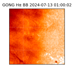 gong - 2024-07-13T01:00:02