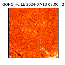 gong - 2024-07-13T02:00:42