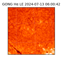 gong - 2024-07-13T06:00:42