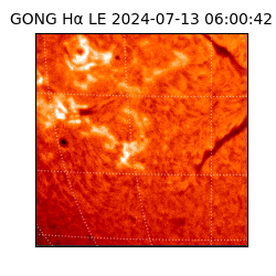 gong - 2024-07-13T06:00:42