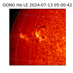 gong - 2024-07-13T05:00:42