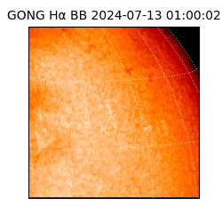 gong - 2024-07-13T01:00:02