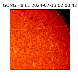 gong - 2024-07-13T02:00:42