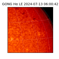 gong - 2024-07-13T06:00:42