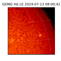 gong - 2024-07-13T08:00:42