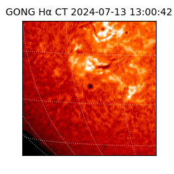 gong - 2024-07-13T13:00:42