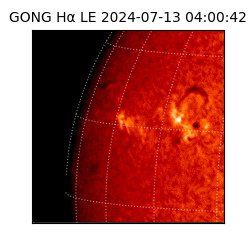 gong - 2024-07-13T04:00:42