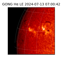 gong - 2024-07-13T07:00:42