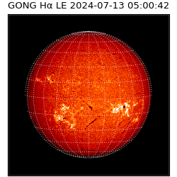 gong - 2024-07-13T05:00:42