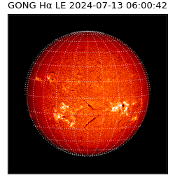 gong - 2024-07-13T06:00:42