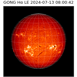 gong - 2024-07-13T08:00:42